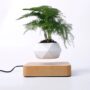 Levitating 공중부양 분재 (약 73,250원/ 한국무료배송)